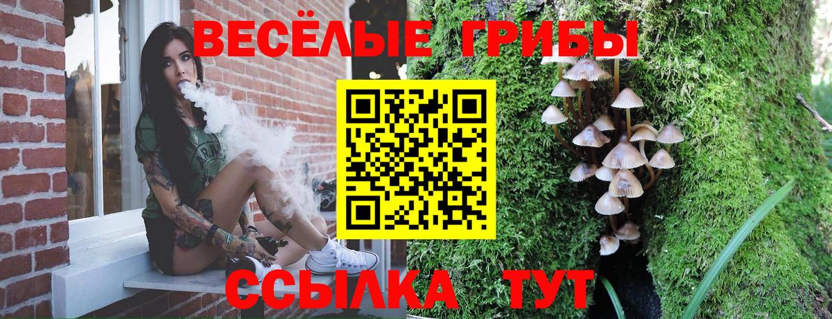 Галлюциногенные грибы Psilocybe  Вход с VPN  Лангепас 
